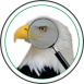 Elyon Pro icon